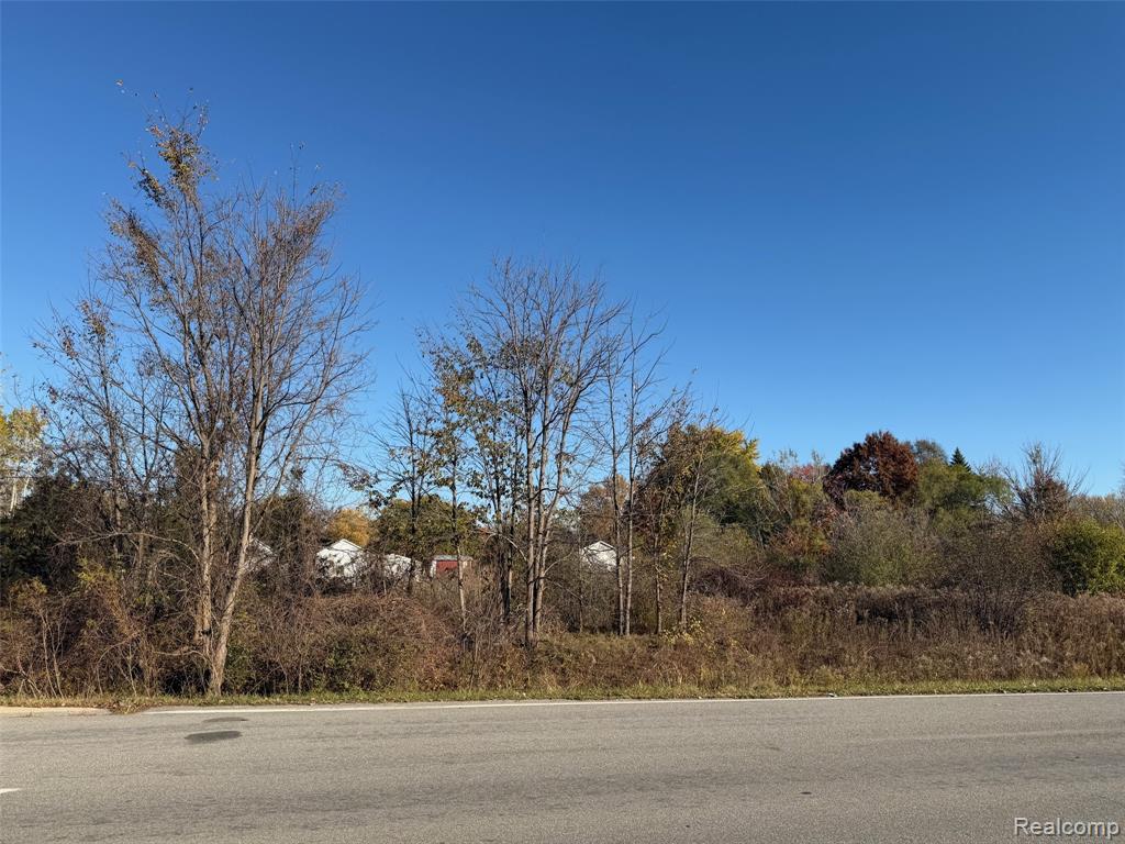 Lot 20 E Hill Road, Grand Blanc, MI 48439 — Photo 2