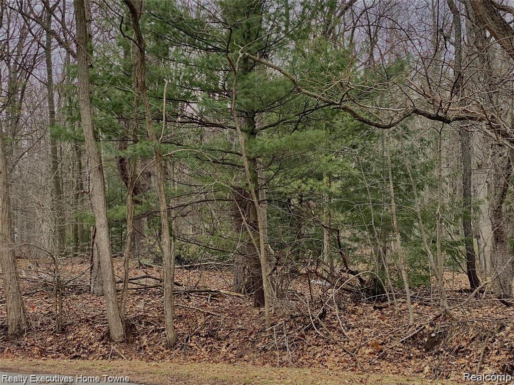 V/L Krystal Court, Clyde, MI 48049 — Photo 2
