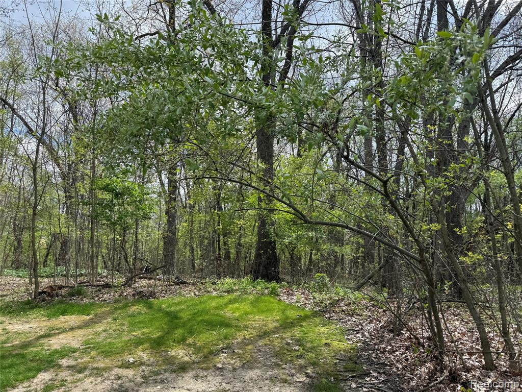 Lot 25 Hidden Ridge Trail, Fenton, MI 48430 — Photo 2