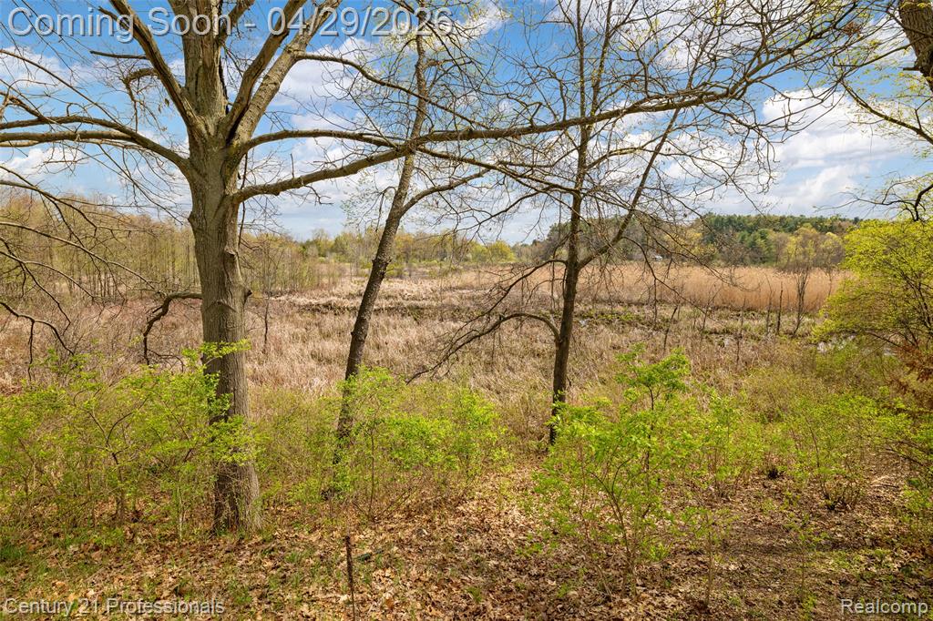 9200 Clyde Road, Fenton, MI 48430 — Photo 44
