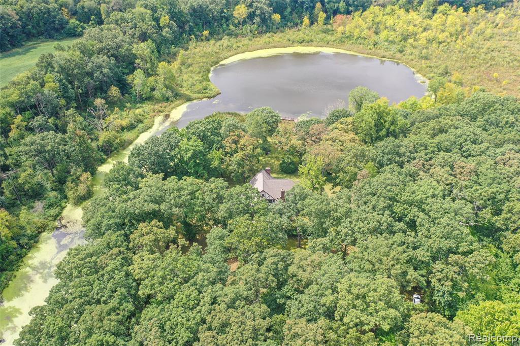 15000 Bishop Road, Byron, MI 48418 — Photo 18