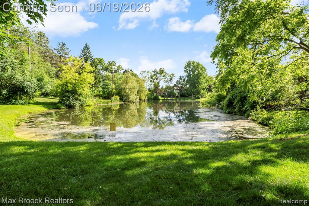 40360 Harmony Lane, Northville, MI 48167 — Photo 68