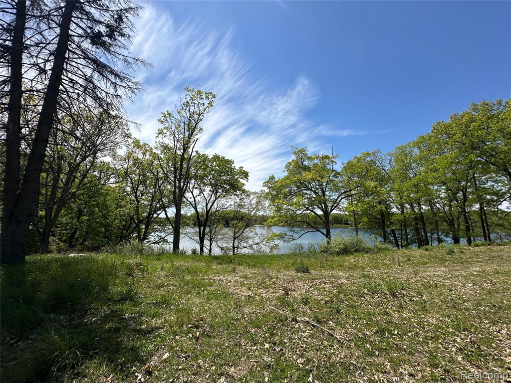 6727 Sherman Street, Otter Lake, MI 48464 — Photo 10