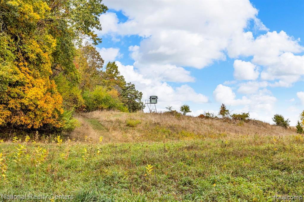 1050 W Vicary Rd. Road, Liberty, MI 49233 — Photo 39