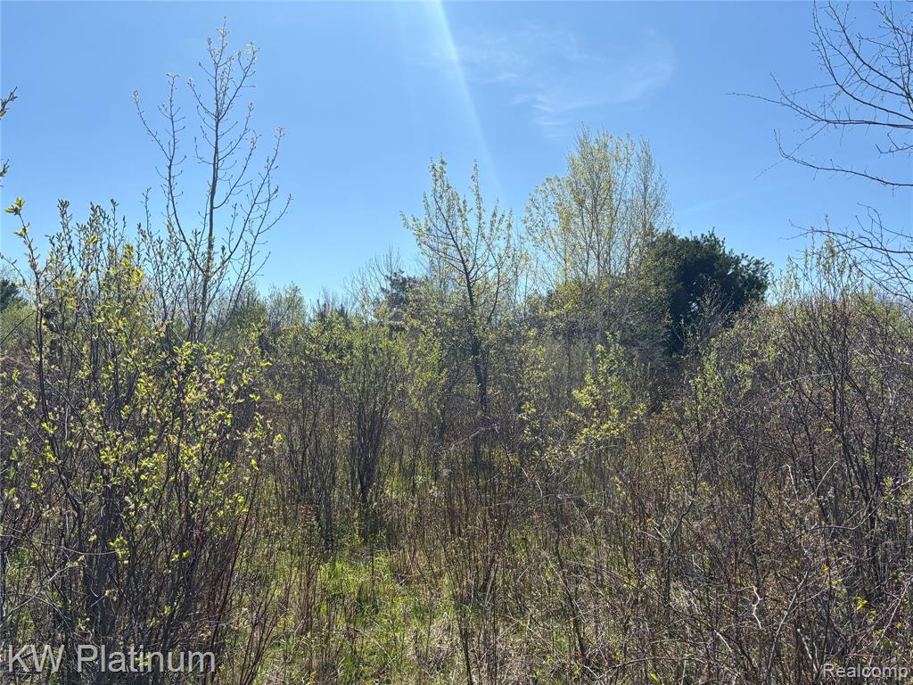 Parcel D Wicha Drive, Burtchville, MI 48059 — Photo 7