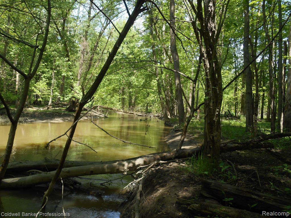1651 CASTLE Road, North Branch, MI 48461 — Photo 22