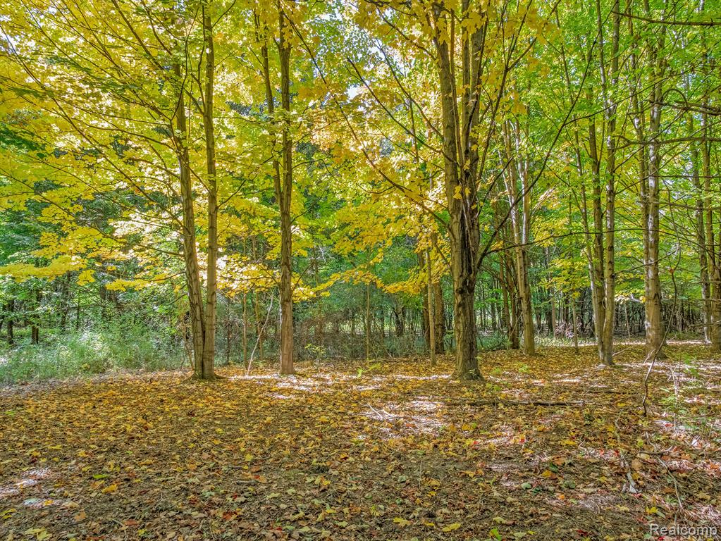 4695 Waterwood Way, Howell, MI 48855 — Photo 13