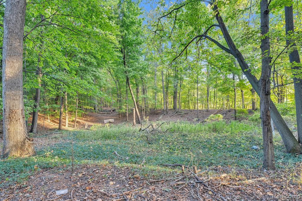 8264 Wilson Road, Otisville, MI 48463 — Photo 30