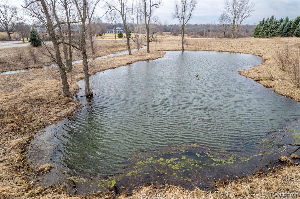 6498 BACHMAN Lane, Goodrich Vlg, MI — Photo 5