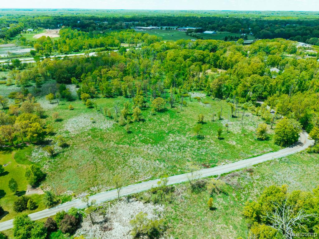 C-1 DOA Lane, Brighton, MI 48114 — Photo 24