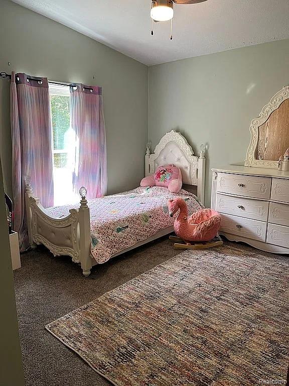 2829 Mushroom Road, Caro, MI 48723 — Photo 8
