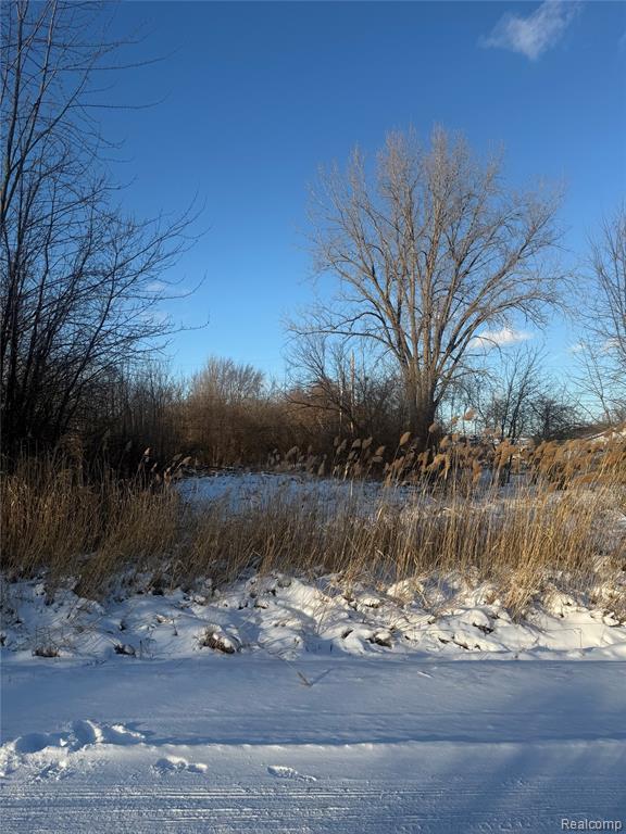 Sublot 41 Charles, Clinton Twp, MI 48035 — Photo 4