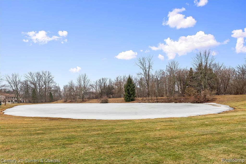 62401 Raleigh Court, 1, South Lyon, MI 48178 — Photo 37