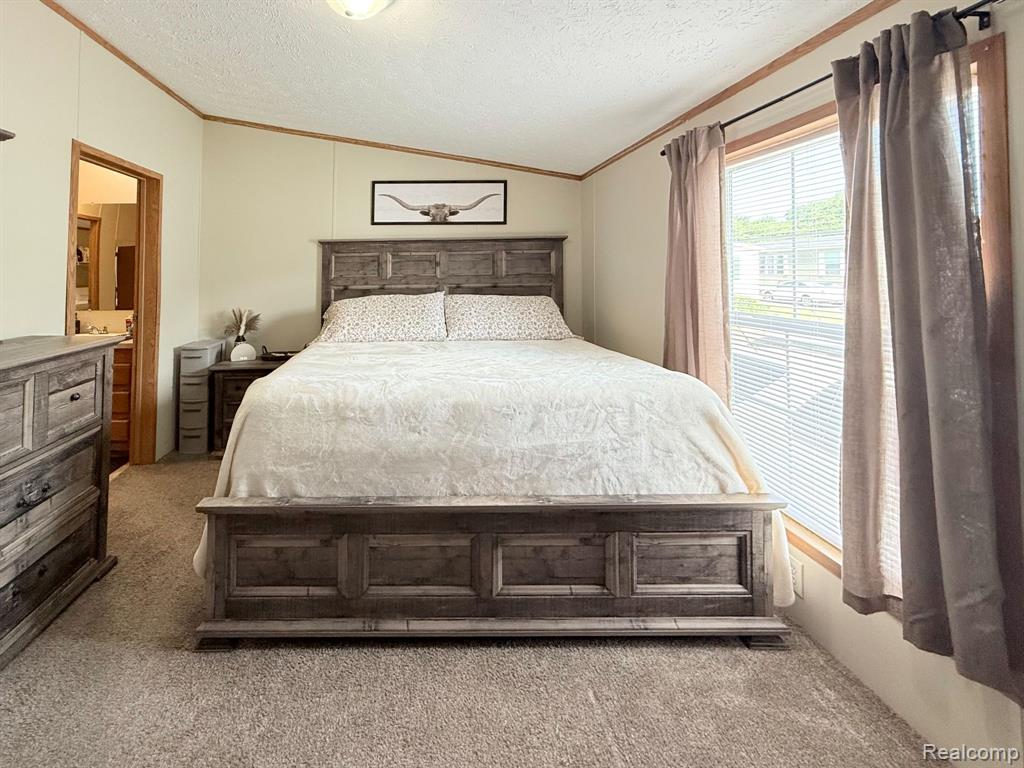 317 Scarlet Oak Lane, Whittaker, MI 48190 — Photo 9