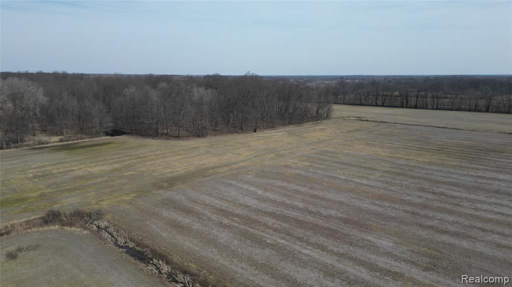 Lot #12 Kunstman Road, Ray, MI 48096 — front exterior