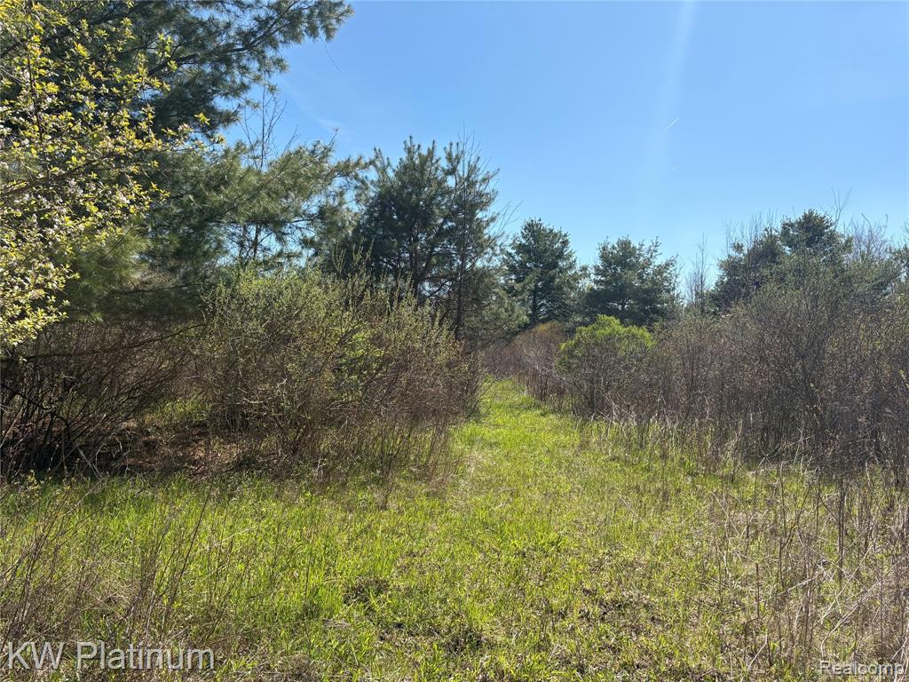Parcel B Wicha Drive, Burtchville, MI 48059 — Photo 13