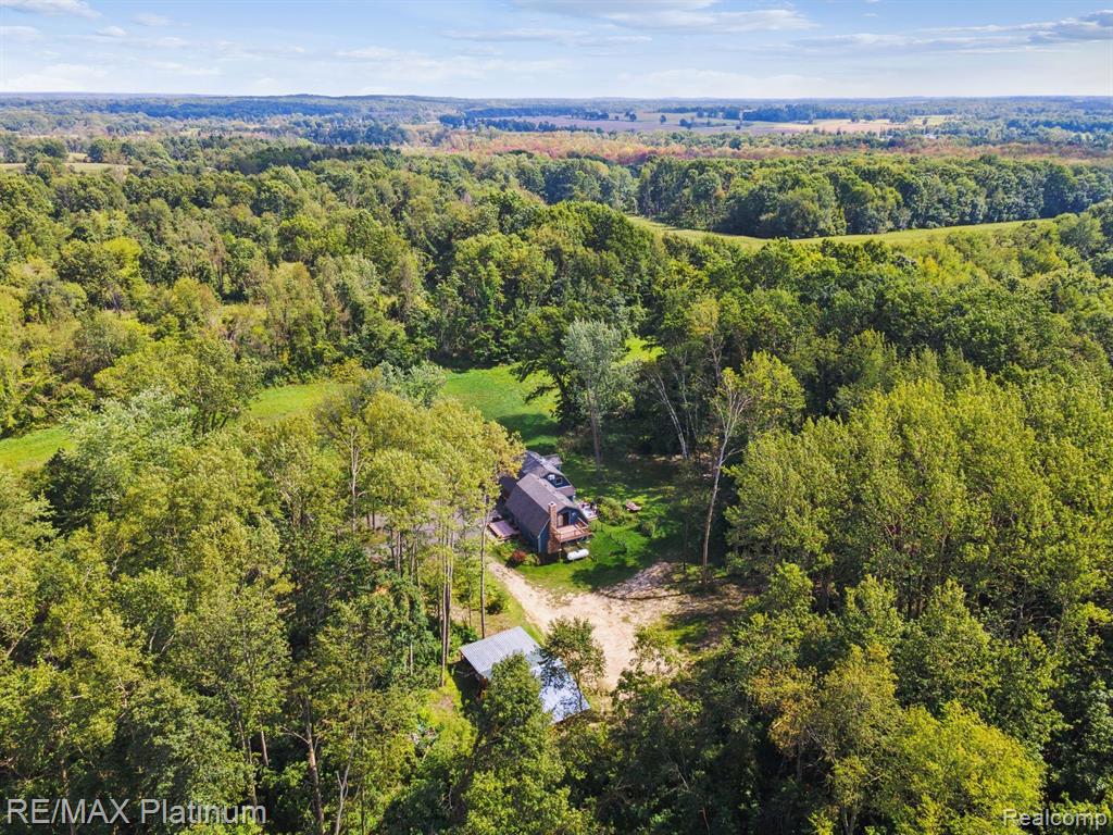 5839 MASON Road, Fowlerville, MI 48836 — Photo 38
