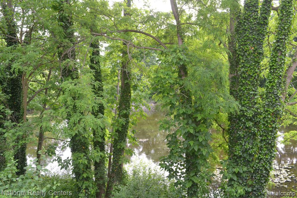 1052 PINEWOOD Court, Brighton, MI 48116 — Photo 23