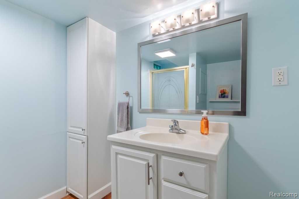 369 LARKSPUR Street, Ann Arbor, MI 48105 — Photo 28
