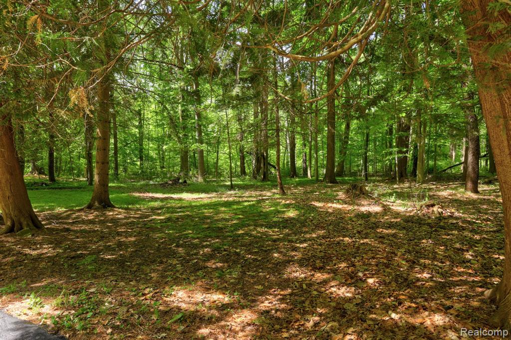 3814 S Towerline Road, Bridgeport, MI 48722 — Photo 46