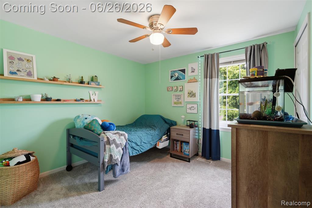 60569 Town Square Street, New Hudson, MI 48165 — Photo 19