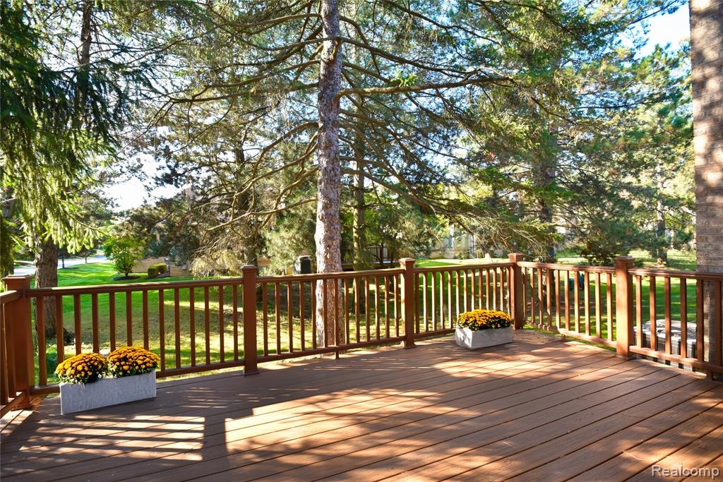 32175 Spruce Lane, Beverly Hills, MI 48025 — Photo 9