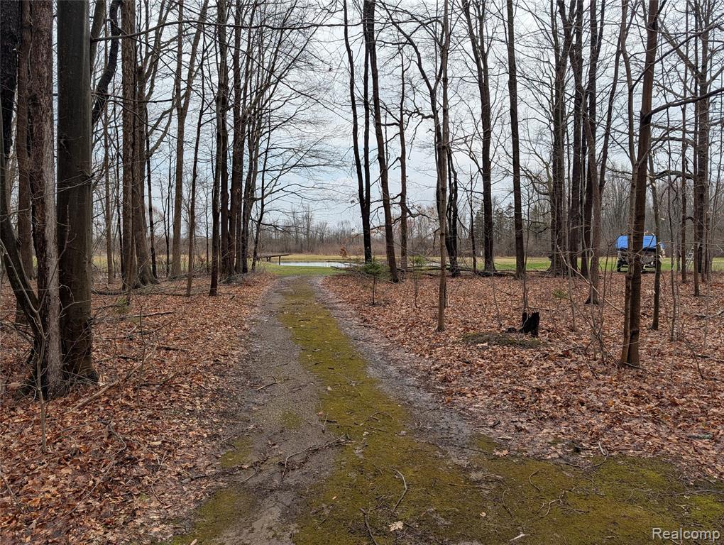 9345 Weber Road, Columbus, MI — Photo 2