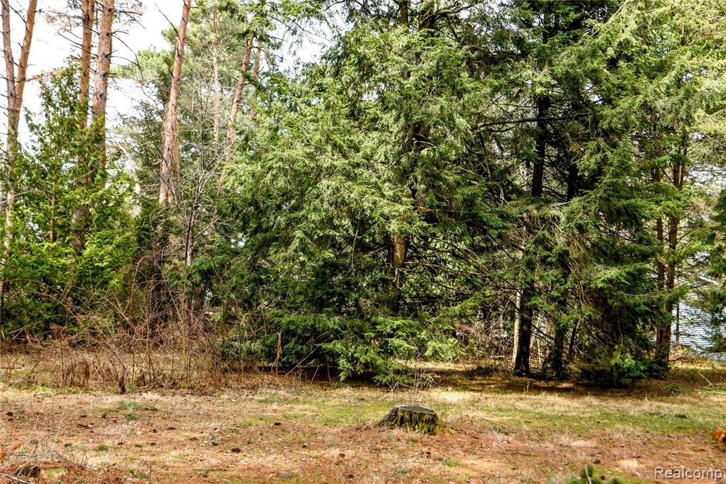 Lot 64 Merry Road, Waterford, MI 48328 — Photo 23