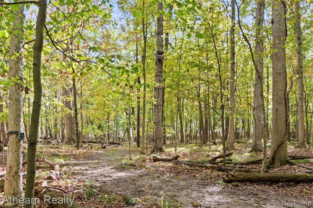12471 Vernon Road, Bancroft, MI 48414 — Photo 22