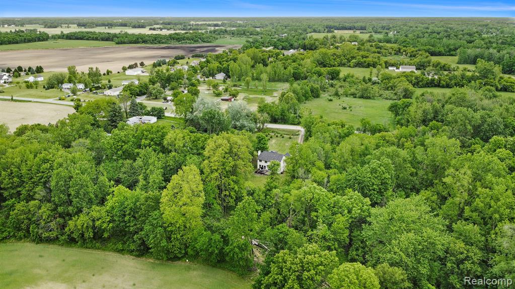 11851 Mason Road, Webberville, MI 48892 — Photo 29