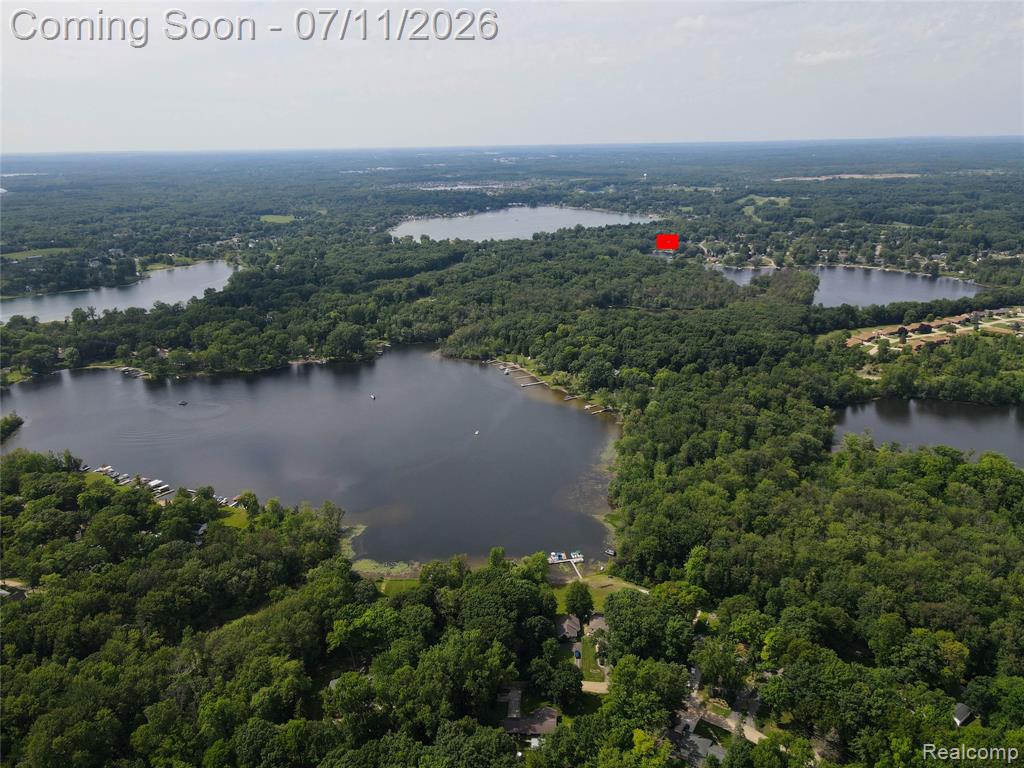 11590 Sumpter Drive, South Lyon, MI 48178 — Photo 7