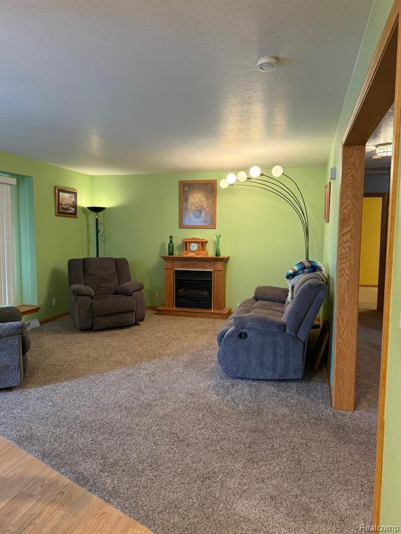 4338 Mertz Road, Mayville Vlg, MI 48744 — Photo 14