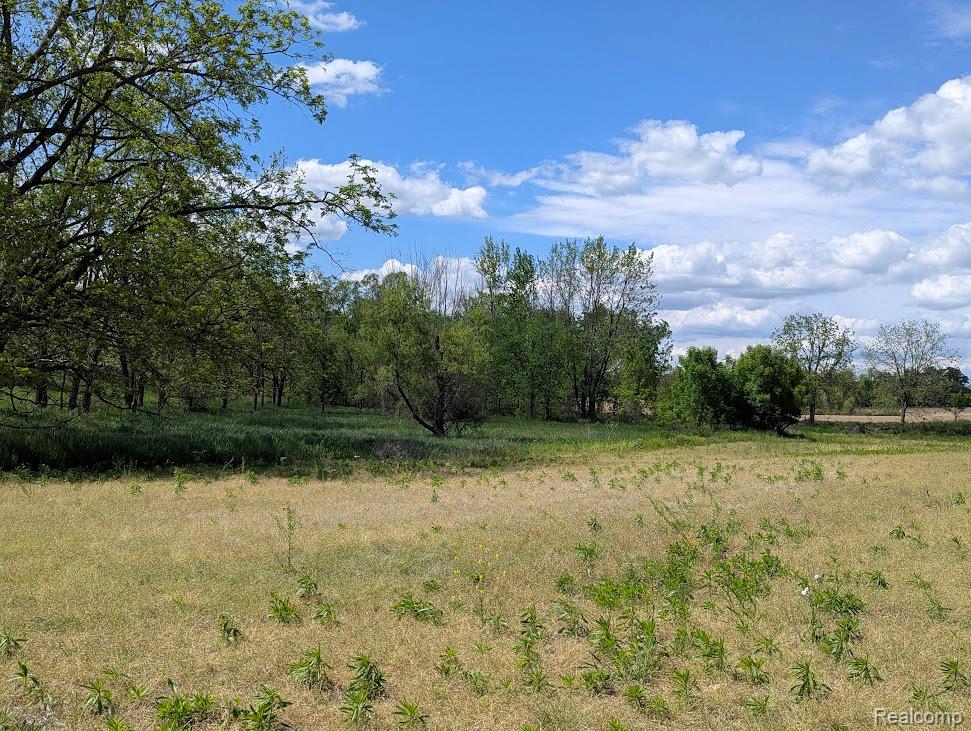 Parcel D - Hogan Road, Linden, MI 48451 — Photo 15