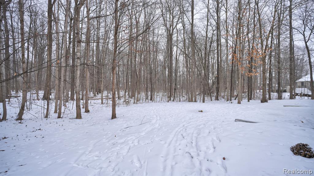 9270 OAKVIEW Drive, Swartz Creek, MI 48473 — Photo 4