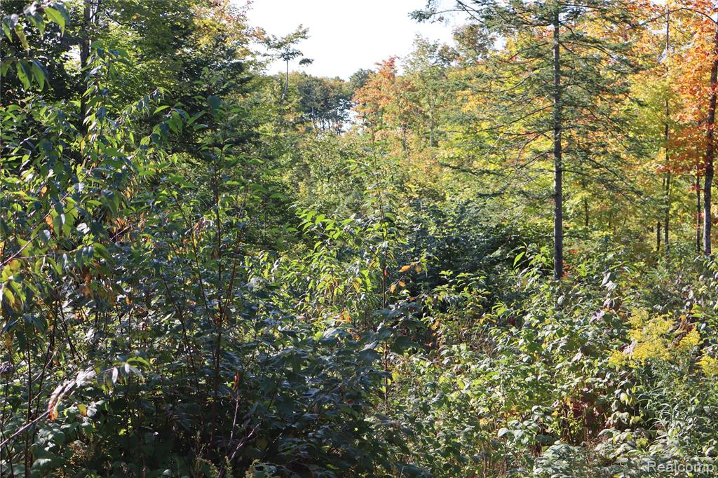 Lot D W Pendills Lake Road, Brimley, MI 49715 — Photo 22