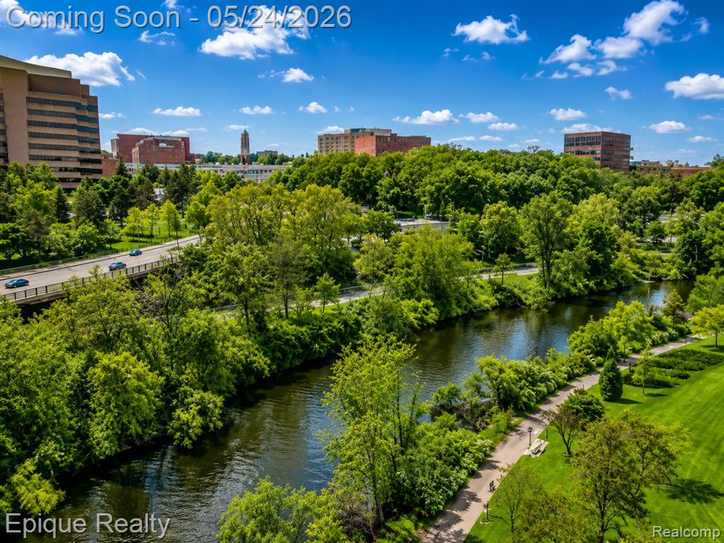 1050 Wall Street, 8F, Ann Arbor, MI 48105 — Photo 15