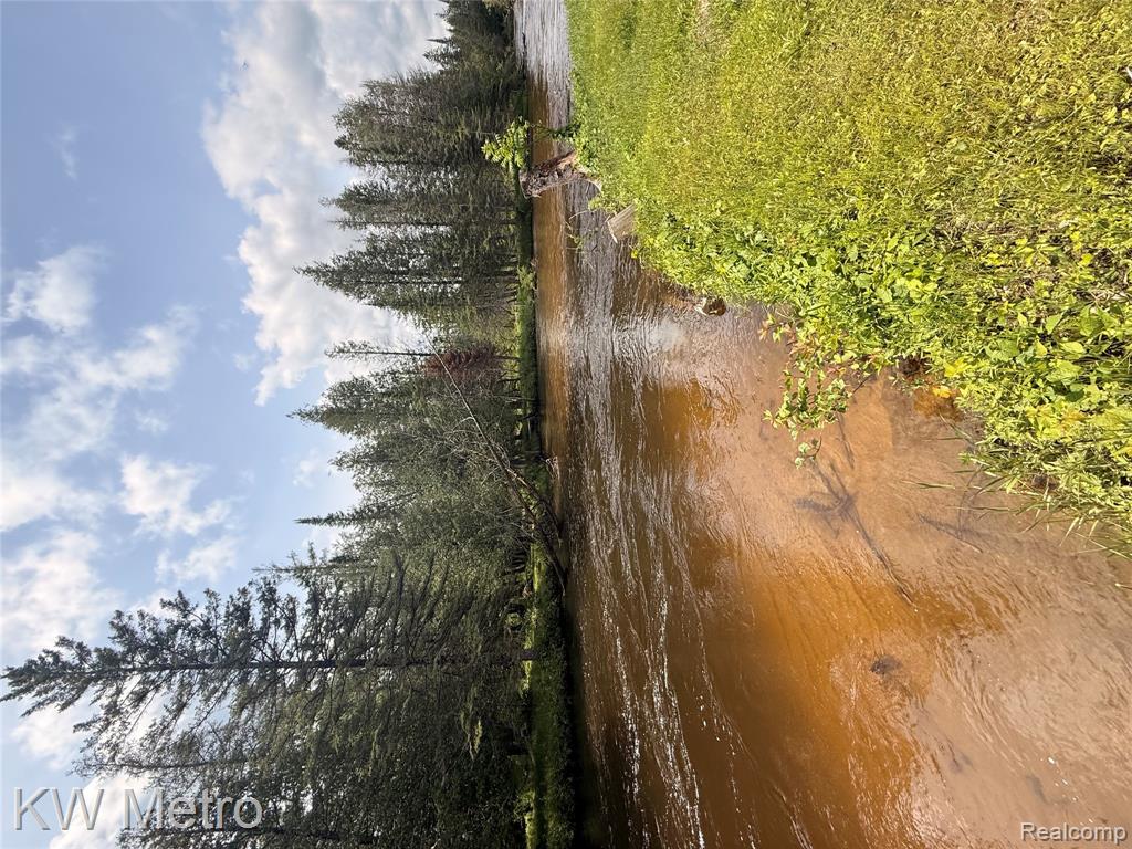 5749 Schultz Road, Indian River, MI 49749 — Photo 23