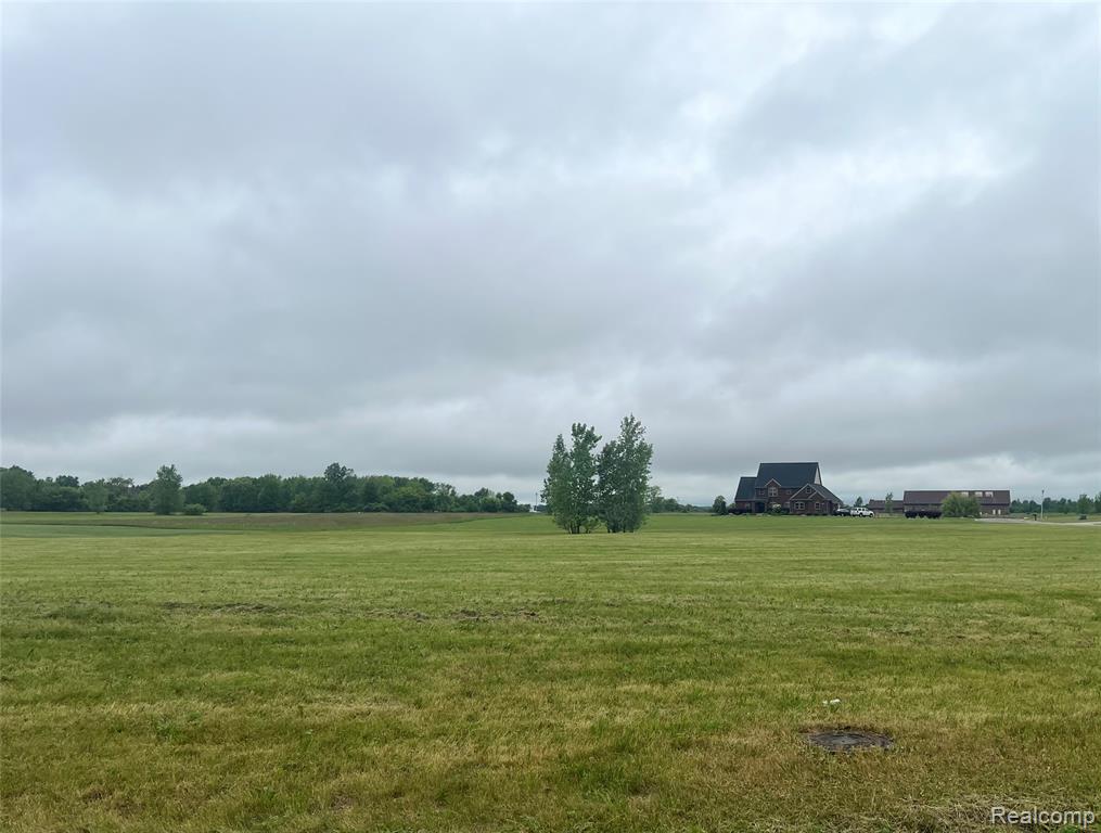 6285 Victoria Lane, Swartz Creek, MI 48473 — Photo 2