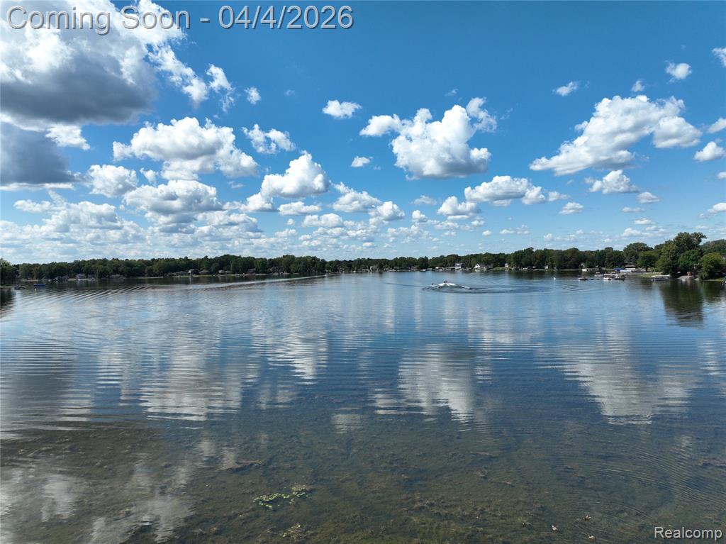 9666 Zukey Drive, Pinckney, MI 48169 — Photo 22
