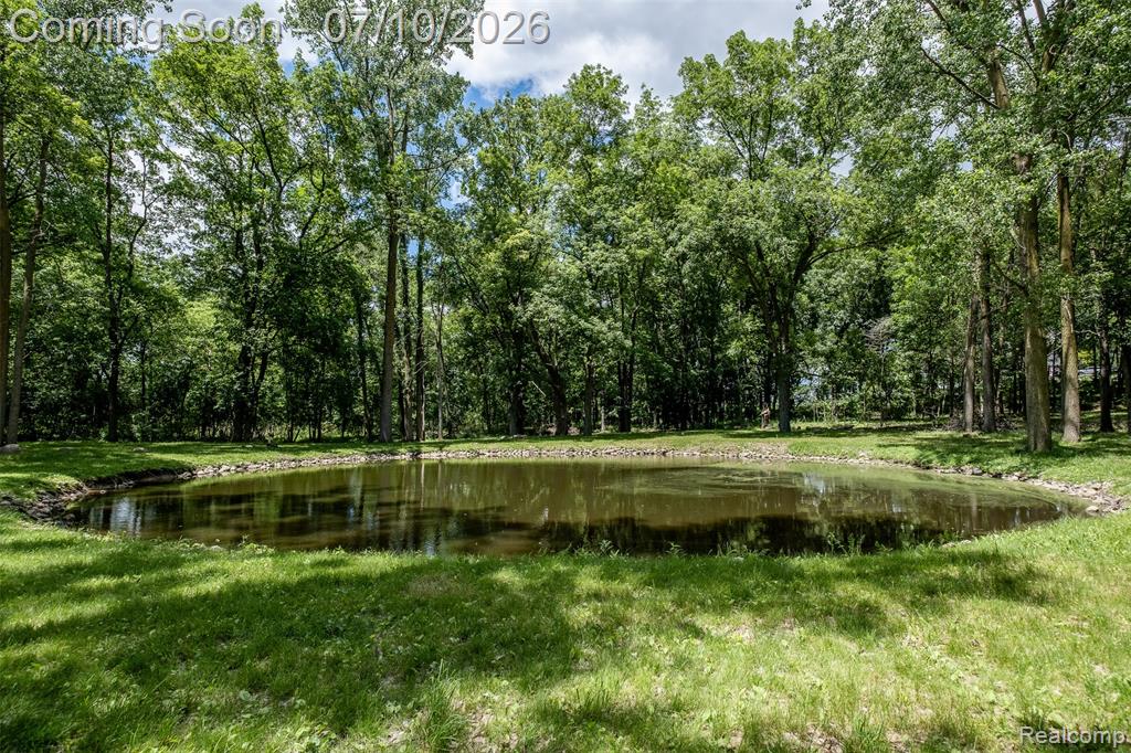14346 Jerusalem Road, Chelsea, MI 48118 — Photo 5