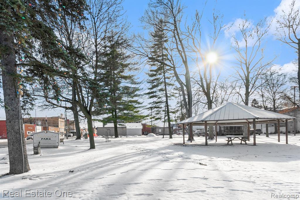 513 N MAIN Street, Bellevue, MI 49021 — Photo 24