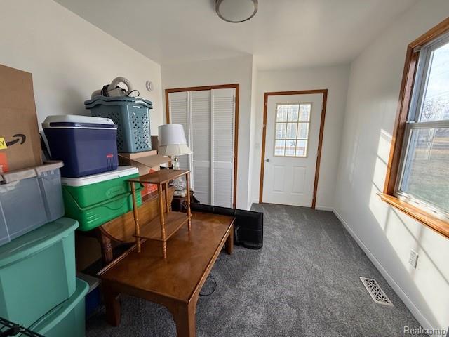 34 S Elba Road, Lapeer, MI 48446 — Photo 34