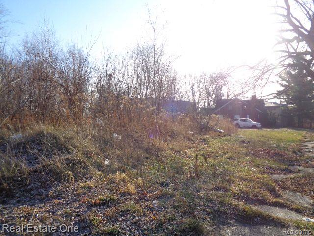 18088 PELKEY Street, Detroit, MI 48205 — Photo 15