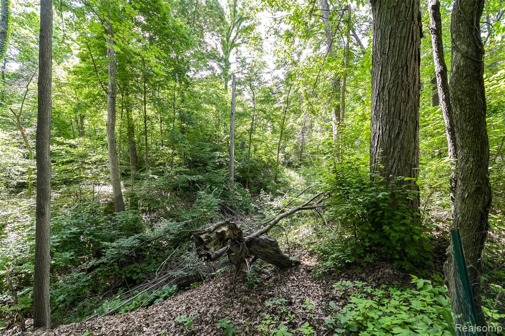 3376 Oak Park Drive, Saline, MI 48176 — Photo 72