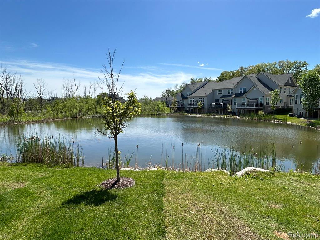 3207 BRACKLEY Drive, Ann Arbor, MI 48105 — Photo 2