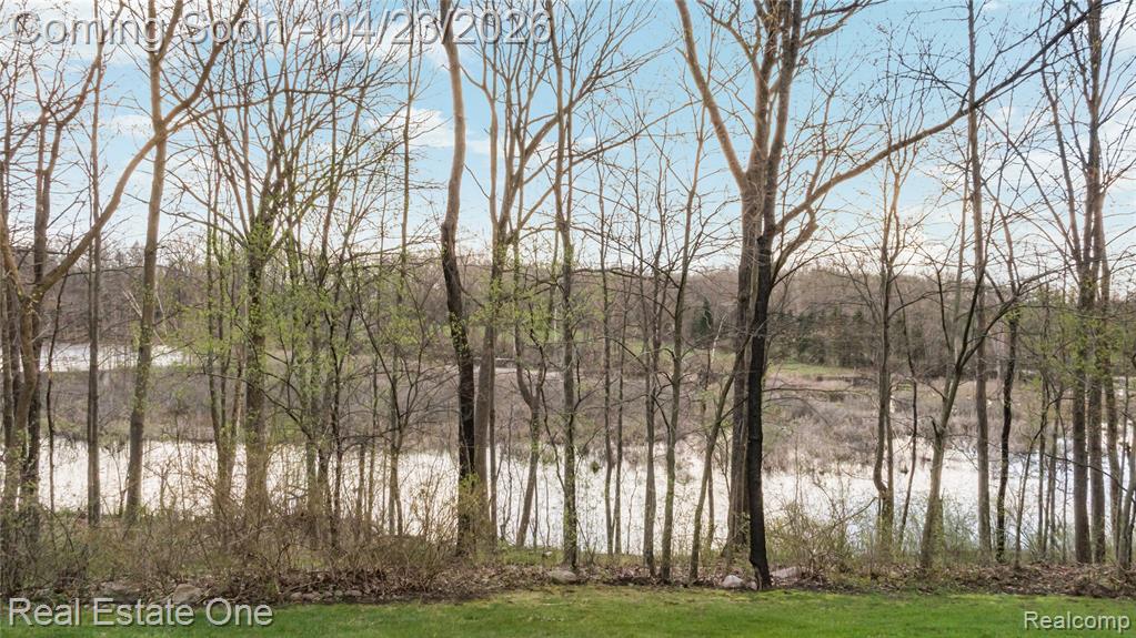 8183 Caribou Lake Lane, Clarkston, MI — Photo 71