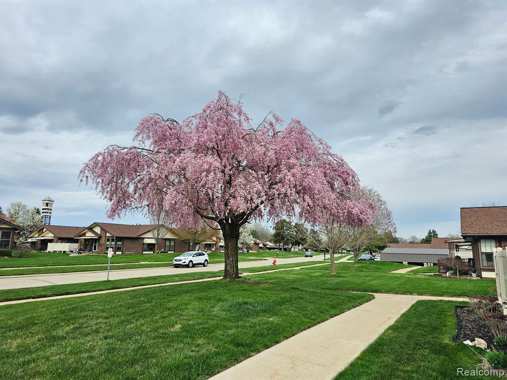 40703 Newport Dr, 249, Plymouth, MI 48170 — Photo 34
