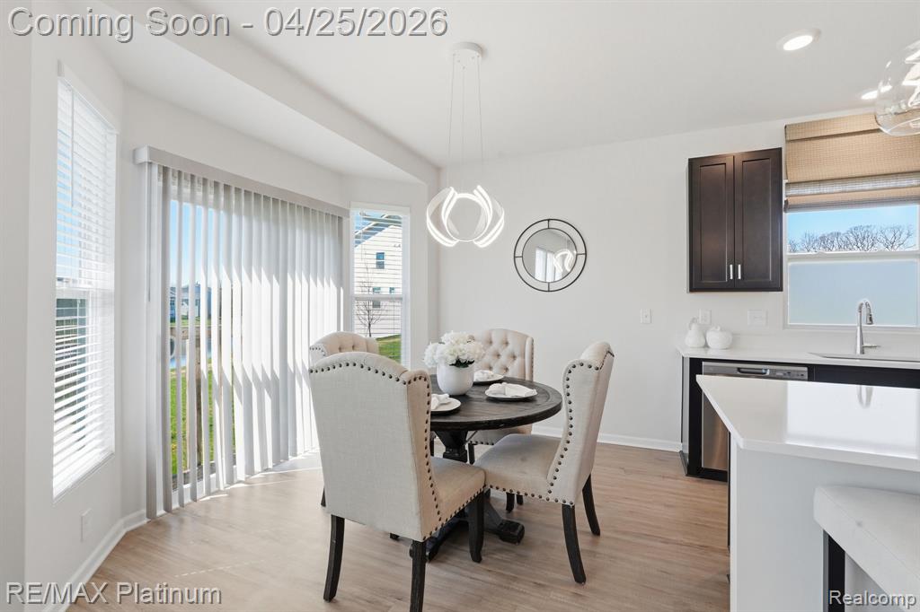 8050 Carston Lane, Brighton, MI 48116 — Photo 11
