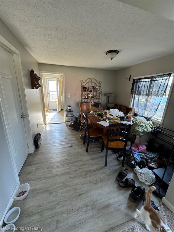305 E Rolfe, Perry, MI 48872 — Photo 3