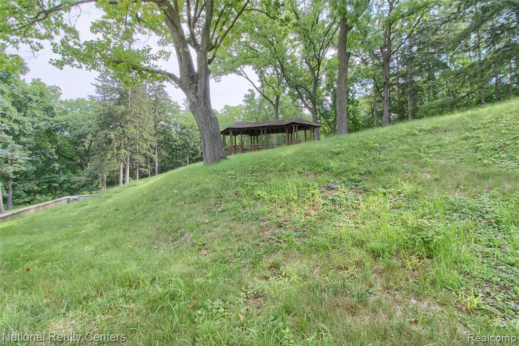 341 Corrie Road, Ann Arbor, MI 48105 — Photo 49